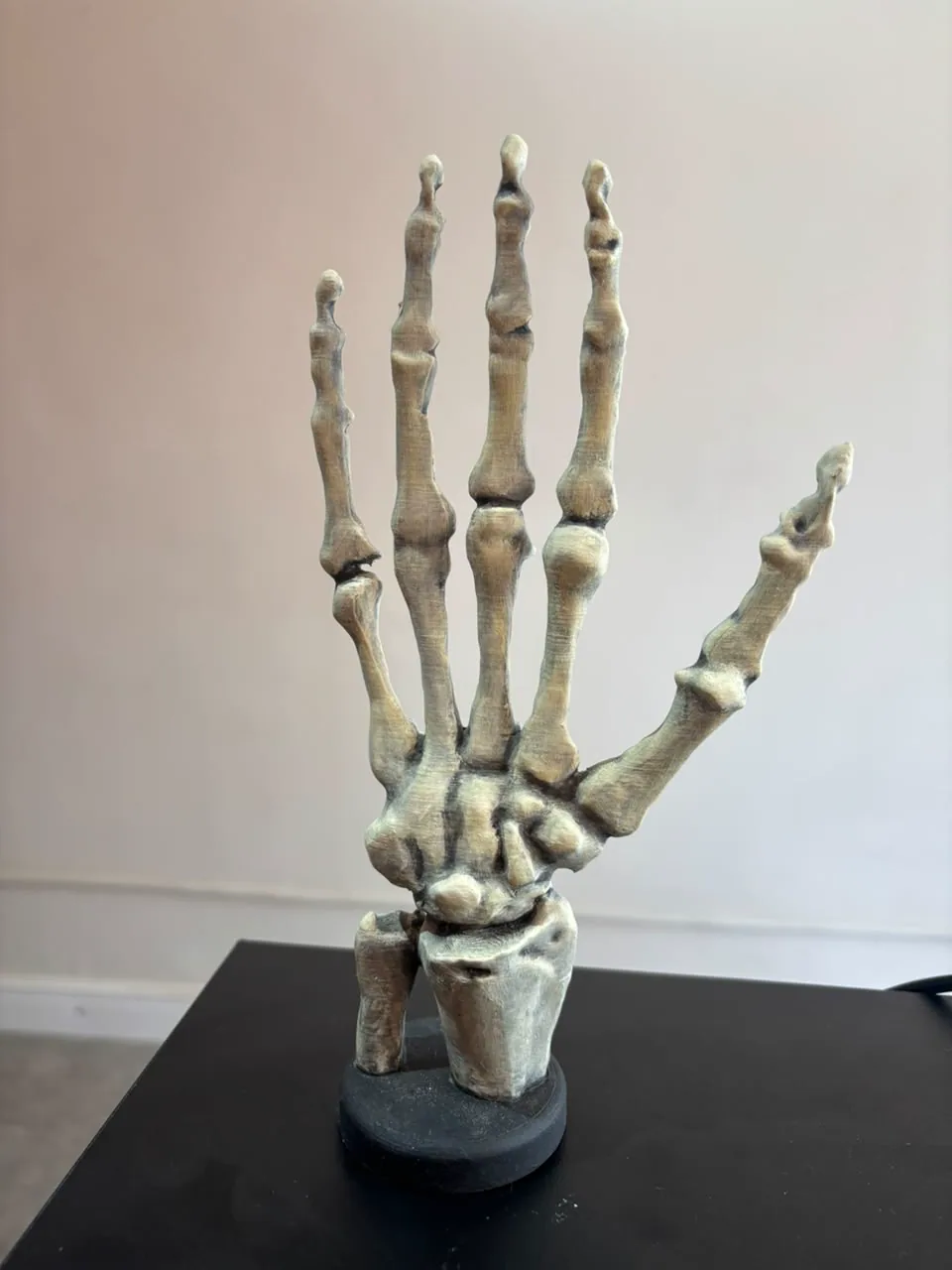 Modelo anatômico de mão produzido pela Casa 3D